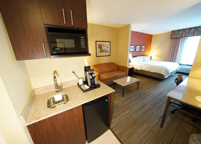 Holiday Inn Express & Suites Tampa Northwest-Oldsmar By Ihg